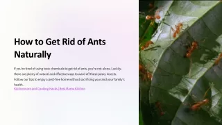 How-to-Get-Rid-of-Ants-Naturally