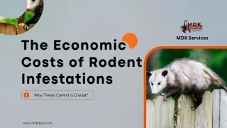 The Economic Costs of Rodent Infestations