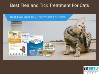 Buy Flea and Tick Treatment for Cats at Best Price Online | Pet Care | VetSupply