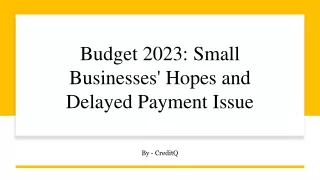 Budget 2023: Small Businesses' Hopes and Delayed Payment Issue​