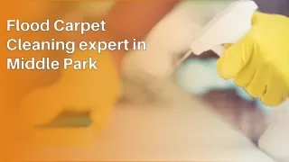 Flood Carpet Cleaning expert in Middle Park