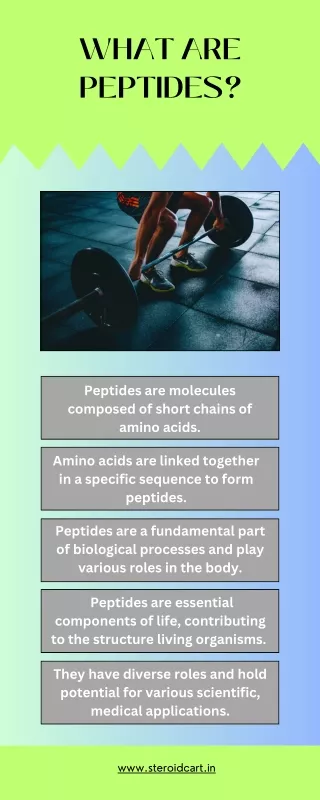 What Are Peptides