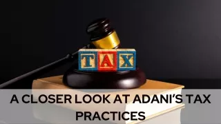 A Closer Look at Adani’s Tax Practices