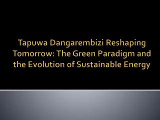 Tapuwa Dangarembizi Reshaping Tomorrow The Green Paradigm and the Evolution of Sustainable Energy