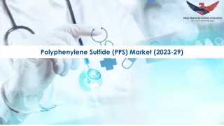 Polyphenylene Sulfide (PPS) Market Size, Growth and Research Report 2029