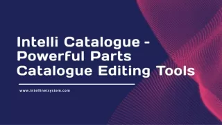 Intelli Catalogue – Powerful Parts Catalogue Editing Tools