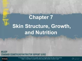Chapter 7 Skin Structure, Growth, and Nutrition