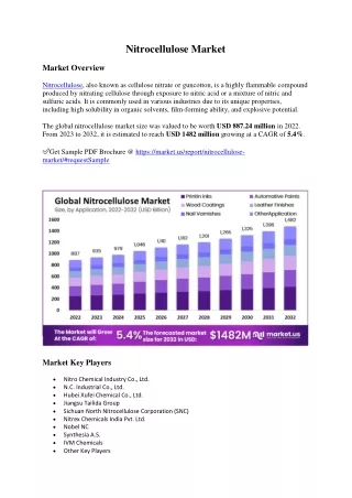 nitrocellulose market