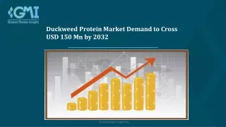 Duckweed Protein Market Comprehensive Analysis and Forecast, 2023 - 2032