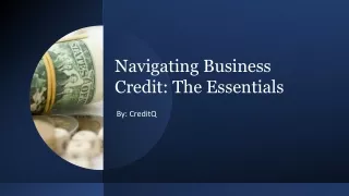 Navigating Business Credit: The Essentials​