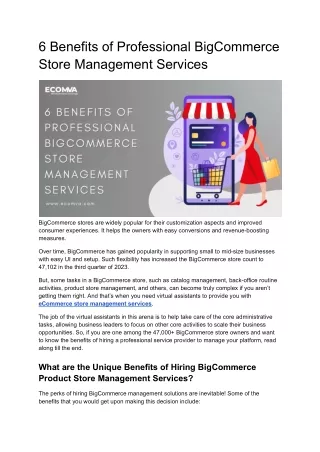 6 Benefits of Professional BigCommerce Store Management Services