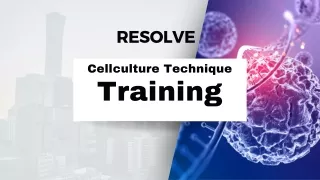 Cellculture Training