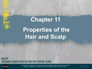 Chapter 11 Properties of the Hair and Scalp