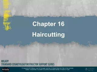 Chapter 16 Haircutting