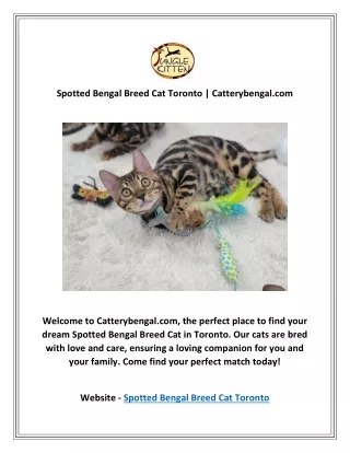 Spotted Bengal Breed Cat Toronto | Catterybengal.com