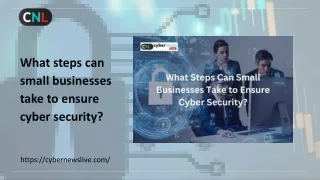 What steps can small businesses take to ensure cyber security?