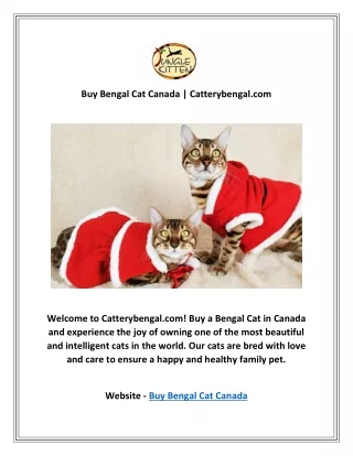 Buy Bengal Cat Canada | Catterybengal.com