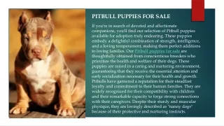 pitbull puppies for sale