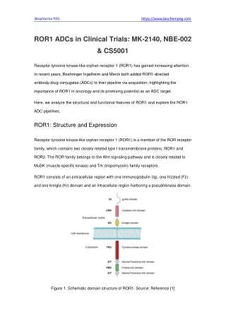 ROR1 ADCs in Clinical Trials MK-2140, NBE-002 & CS5001