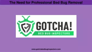 The Need for Professional Bed Bug Removal