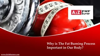 Why is The Fat Burning Process Important in Our Body