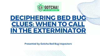 Deciphering Bed Bug Clues When to Call in the Exterminator