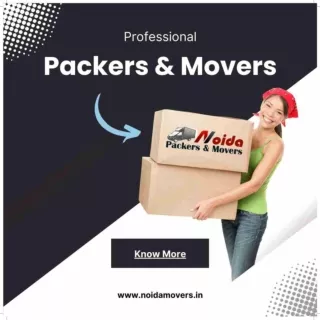 Movers and Packers in Noida