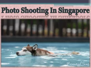 Photo Shooting In Singapore