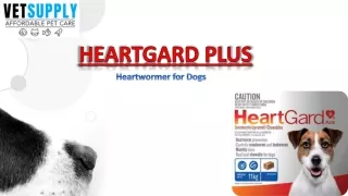 Heartgard Plus Chewables For Dogs | Pet Care | VetSupply
