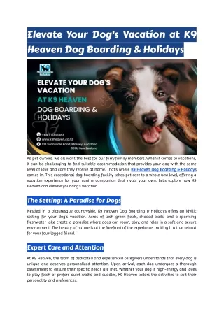 Elevate Your Dog's Vacation at K9 Heaven Dog Boarding & Holidays