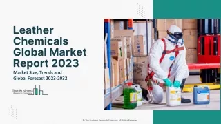 Leather Chemicals Market Growth, Competitive Analysis And Forecast 2023 To 2032
