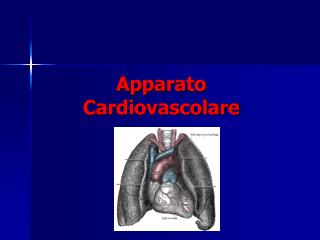 Apparato Cardiovascolare