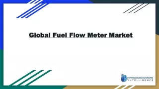 Increase in Fuel Efficient Vehicles is Boosting the Demand for Global Fuel Flow Meter Market