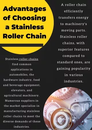 roller chain suppliers