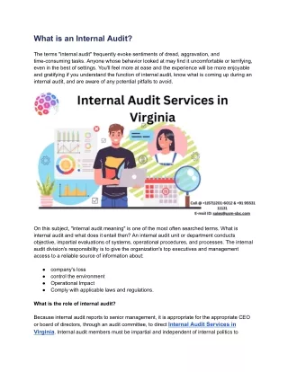 What is an Internal Audit?