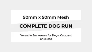 50mm x 50mm Mesh Complete Dog Run - Slaneyside Kennels
