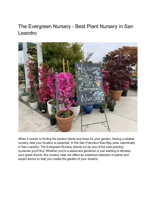 The Evergreen Nursery - Best Plant Nursery in San Leandro