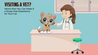 Visiting a Vet Here’s How You Can Make it a Stress-free Experience for Your Cat