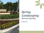 SPRING LANDSCAPING