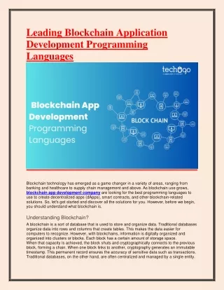 Leading Blockchain Application Development Programming Languages