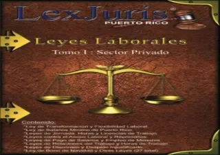 (PDF) Leyes Laborales de Puerto Rico Tomo 1- Sector Privado.: Un total de 24 Ley