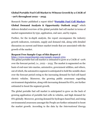 Portable Fuel Cell Market