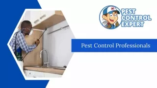 Pest Control Professionals - Pest Control Expert