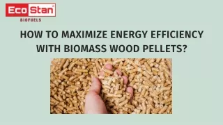 Biomass Wood Pellets is Best Sustainable Energy Source - ECOSTAN Biofuel