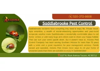 Saddlebrooke Pest Control - AZP