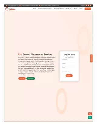 Etsy Seller Account Management Services