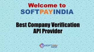 Best Company Verification API Provider