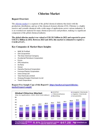 Chlorine Market