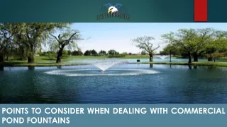 Points To Consider When Dealing with Commercial Pond Fountains