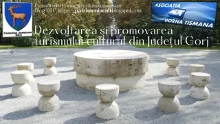 Dezvoltarea şi promovarea turismului cultural Gorj C. Brâncuși